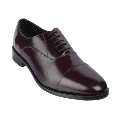 Samuel Windsor - Bolton 65 <br> Big Size Regular Width Genuine Leather Brown Formal Lace-Up Shoes  JupiterShop   