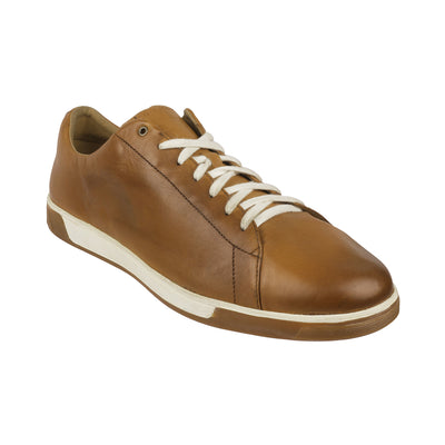 Cole Haan - C26521 <br> Big Size Regular Width Brown Leather Sneaker For Men Laced JupiterShop   