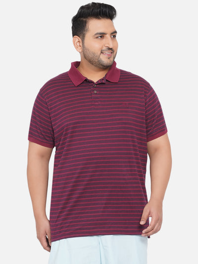 Weird Fish - Plus Size Men's Maroon Pure Cotton Striped Polo Collar T-Shirt  JupiterShop   